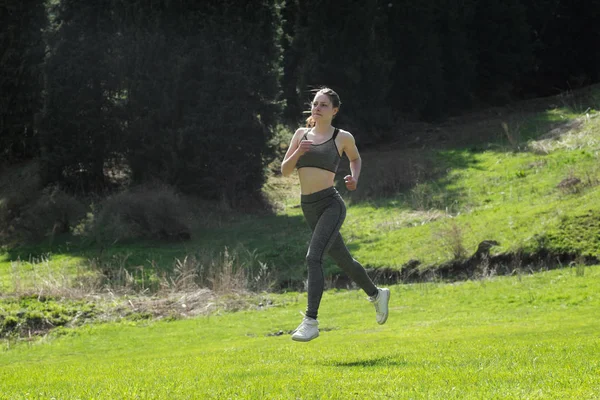 Corriendo en el prado —  Fotos de Stock