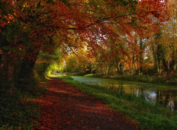Autumn trail in Boyne Valley Stok Lukisan  