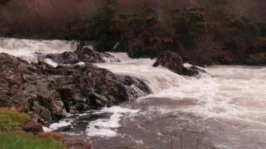 Somon nehrindeki akıntıların yavaş çekim HD videosu.