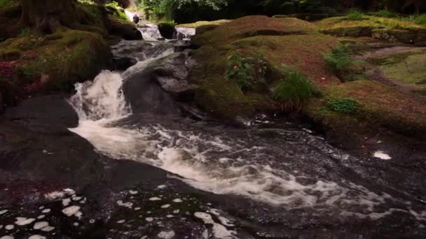Γραφική Αργή Κίνηση Βίντεο Του Mountain Creek Μεταξύ Γραφικό Περιβάλλον — Αρχείο Βίντεο