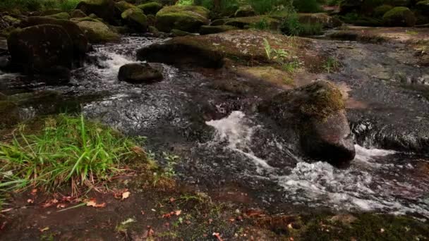 风景秀丽的山地小河慢动作高清视频 — 图库视频影像