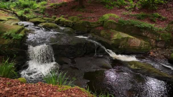 Pintoresco Video Cámara Lenta Arroyo Montaña Entre Los Alrededores Escénicos — Vídeo de stock