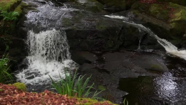 Θεαματική Αργή Κίνηση Βίντεο Του Mountain Creek Γραφικό Περιβάλλον — Αρχείο Βίντεο