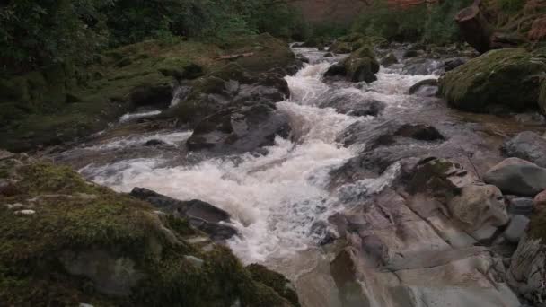 Espectacular Cámara Lenta Vídeo Alta Definición Arroyo Montaña Con Entorno — Vídeo de stock