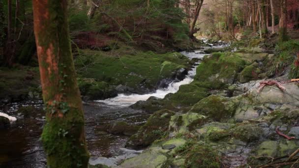 Spettacolare Rallentatore Video Torrente Montagna Con Dintorni Panoramici — Video Stock