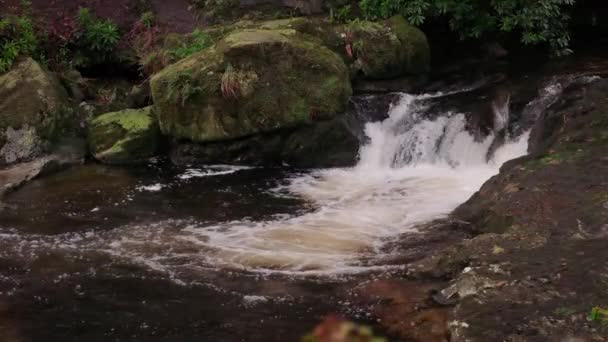 Spectaculaire Slow Motion Video Van Waterval Een Schilderachtige Omgeving — Stockvideo