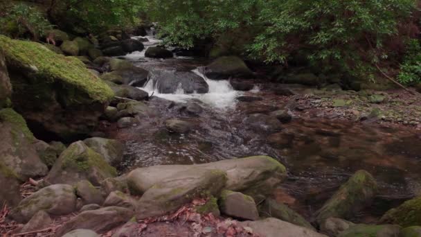 Spectaculaire Slow Motion Video Van Bergkreek Met Schilderachtige Omgeving — Stockvideo