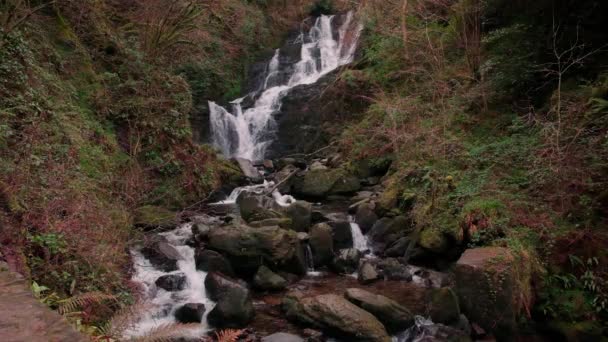 Espectacular Cámara Lenta Vídeo Alta Definición Cascada Entorno Pintoresco — Vídeos de Stock