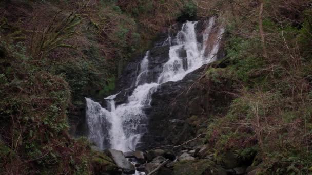 Espectacular Cámara Lenta Vídeo Alta Definición Cascada Entorno Pintoresco — Vídeos de Stock