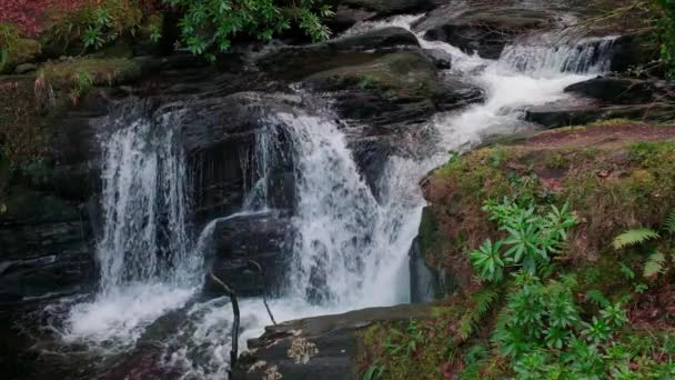 Spectacular Slow Motion Video Waterfall Picturesque Surroundings — Stock Video