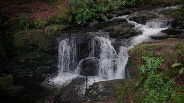 Espetacular Câmera Lenta Vídeo Cachoeira Entre Arredores Pitorescos — Vídeo de Stock