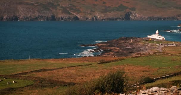 Scenic Vídeo Atlantic Ocean Kerry Coast Rocks Waves — Vídeo de Stock