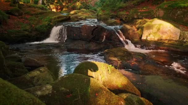 Spektakulär Video Bergsströmmen Bland Natursköna Omgivningar — Stockvideo