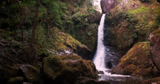 Cênica Vídeo Cachoeira Cânion Profundo Entre Madeira Misteriosa — Vídeo de Stock