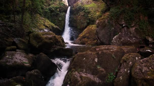 Escénica Video Cascada Cañón Profundo Entre Misteriosa Madera — Vídeo de stock