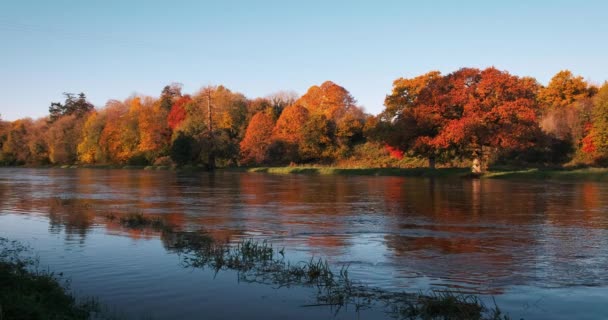 Espectacular Pintoresco Video Del Río Boyne Valle Con Entorno Escénico — Vídeo de stock