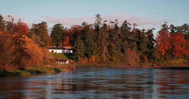 Spektakuläres Und Malerisches Video Von Fluss Boyne Und Tal Mit — Stockvideo