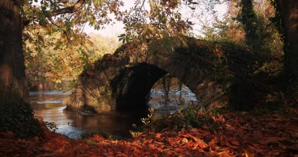 Escénico Video Viejo Puente Piedra Con Agua Corriente Entre Madera — Vídeo de stock