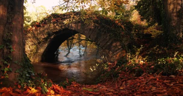 Video Panoramico Vecchio Ponte Pietra Con Acqua Corrente Tra Legno — Video Stock