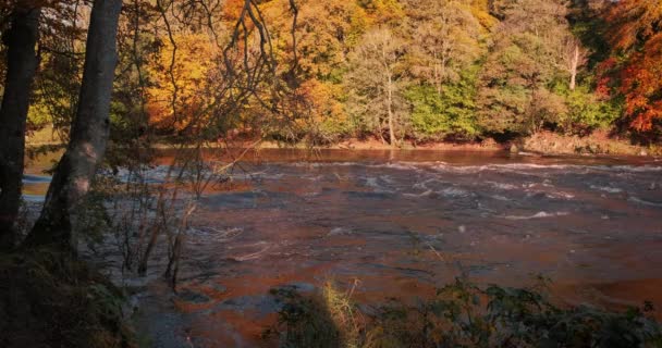 Vidéo 4K spectaculaire et pittoresque de la rivière Boyne et de la vallée avec un cadre pittoresque aux couleurs dorées de l'automne 