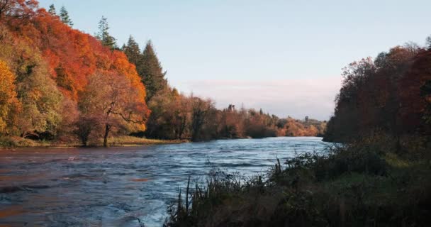 Spectacular Picturesque Video River Boyne Valley Scenic Surroundings Golden Autumn — Stock Video