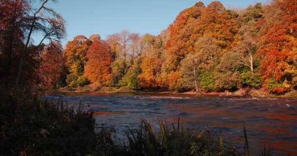 Vidéo 4K spectaculaire et pittoresque de la rivière Boyne et de la vallée avec un cadre pittoresque aux couleurs dorées de l'automne 