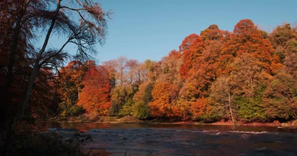 Spectacular Picturesque Video River Boyne Valley Scenic Surroundings Golden Autumn — Stock Video