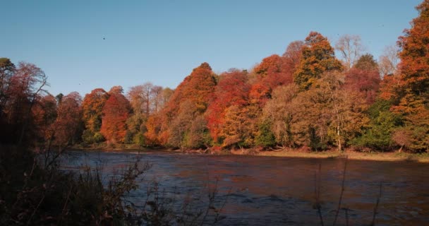 Vidéo 4K spectaculaire et pittoresque de la rivière Boyne et de la vallée avec un cadre pittoresque aux couleurs dorées de l'automne 