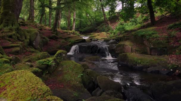 风景秀丽的山地溪流的壮观的4K视频 — 图库视频影像