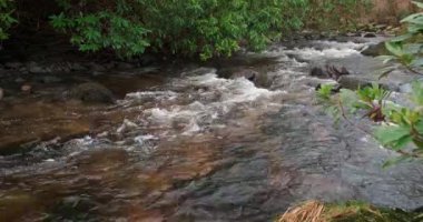 Manzaralı ortamlar arasında dağ akışının muhteşem 4K videosu