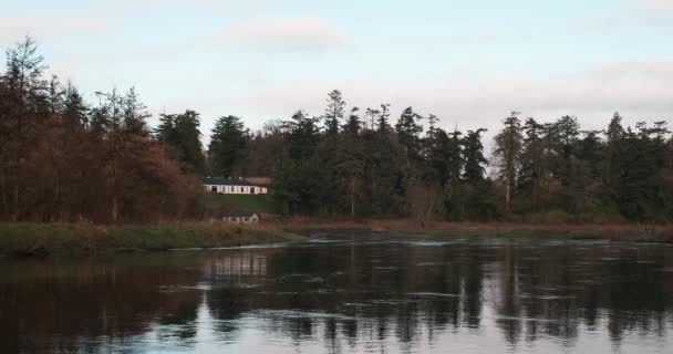 Vidéo Pittoresque Rivière Boyne Vallée — Video