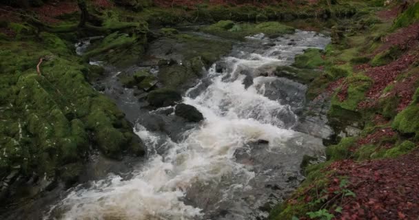 Θεαματικό Βίντεο Του Mountain Stream Γραφικό Περιβάλλον — Αρχείο Βίντεο