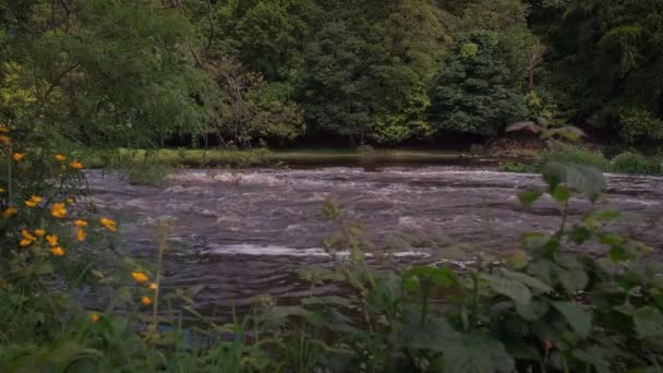 Malerisches Video Von Boyne Fluss Und Tal — Stockvideo