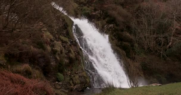 Vidéo 4K de cascade pittoresque dans les montagnes irlandaises 