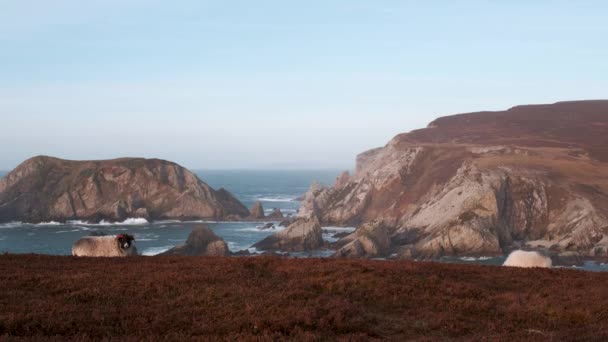 Spektakuläres Video Der Atlantikküste Mit Felsen Klippen Und Inseln — Stockvideo