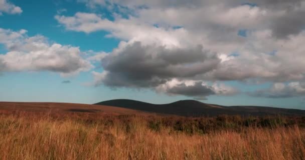 Wicklow Dağları Rlanda Nın Hızlandırılmış Videosu — Stok video