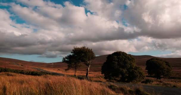 Video Spektakuler Time Lapse Dari Pegunungan Wicklow Irlandia — Stok Video