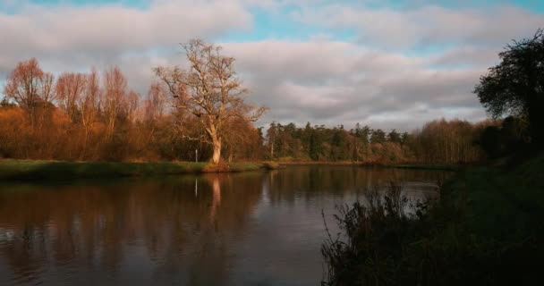 Malerischer Zeitraffer Von Boyne Fluss Und Tal Meath Irland — Stockvideo