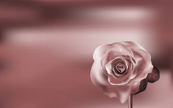 Finom lila Rózsa egy homályos zöld háttér — Stock Vector
