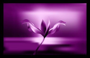 Değerli altın çiçek şafak saat içinde. Lily hassas ve kırılgan altın saat.