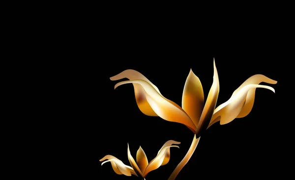 Kostbare gouden bloem in het uur van zonsopgang. Lily delicate en kwetsbare gouden uur. — Stockvector