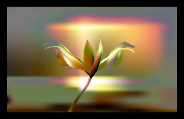 Preciosa flor dorada en la hora del amanecer. Lily delicada y frágil en las horas doradas . — Vector de stock