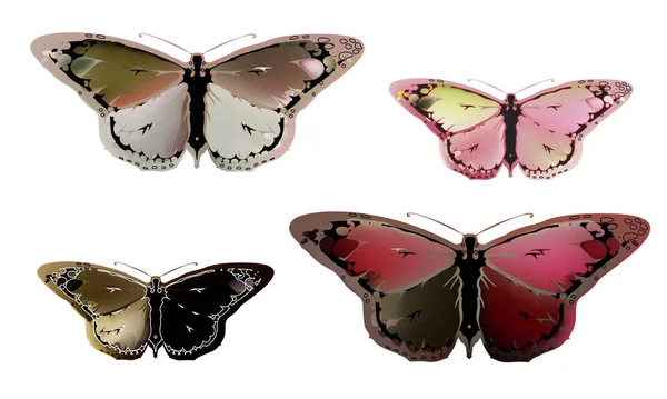 Papillon mystique vintage aux couleurs écarlates sur fond blanc — Image vectorielle