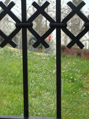 Dövme demir çubukları çitin üzerine damla yağmur pasını.