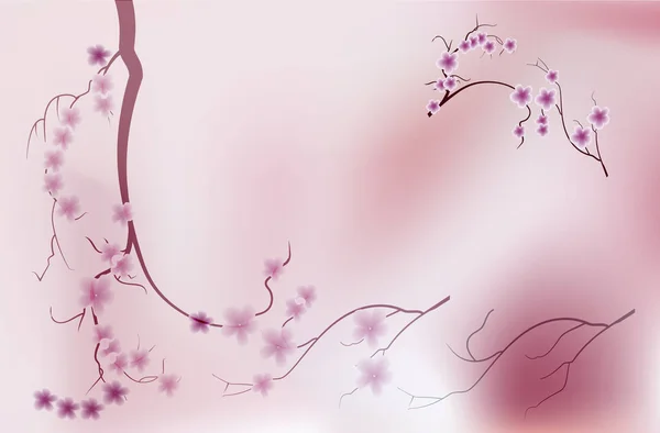 Roze kersenbloesem sakura bloemen in Japanse stijl — Stockvector