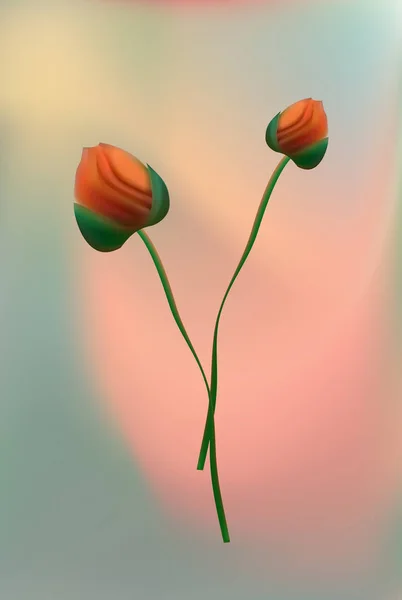 Las flores de la amapola roja primer plano sobre fondo gris . — Vector de stock