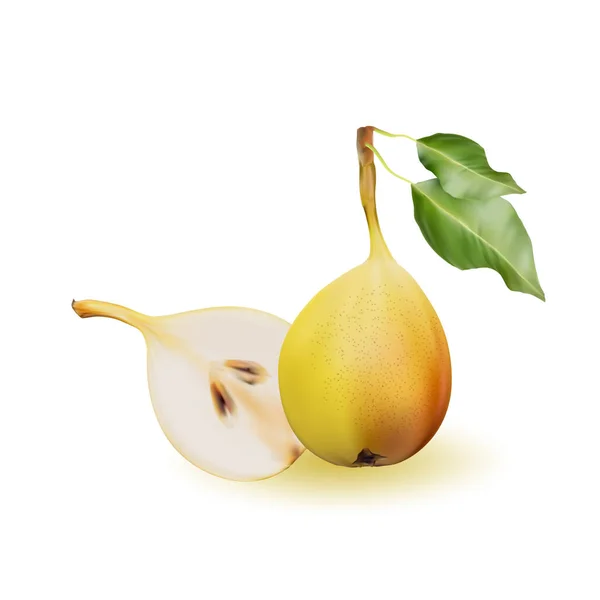 Poire jaune comme source de vitamines et de minéraux pour augmenter l'énergie et lutter contre la fatigue et la dépression. Poire et demi . — Image vectorielle