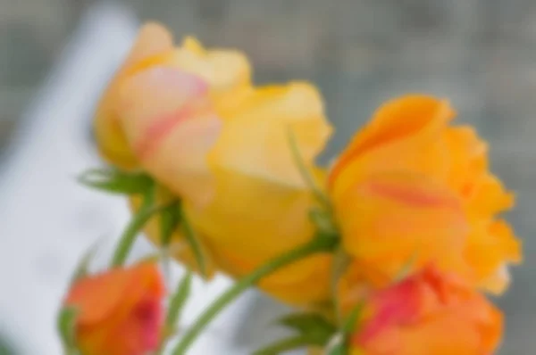 Abstrakta blommor oskärpa i nyanser av gult. Suddig röd blomma bakgrund för tidningar och häften — Stockfoto