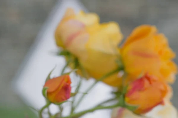 Abstrakte florale Unschärfen in Gelbtönen. verschwommener roter Blumenhintergrund für Zeitschriften und Hefte — Stockfoto