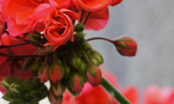 Abstrakta blommor oskärpa i rosa nyanser. Suddig röd blomma bakgrund för tidningar och häften — Stockfoto